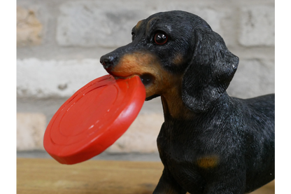Dog Carrying Frisbee