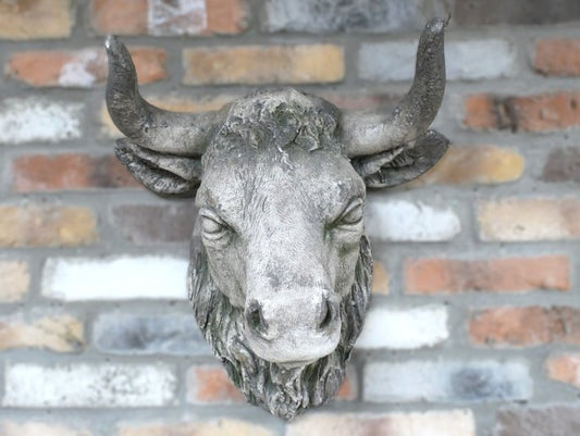 Cow Head