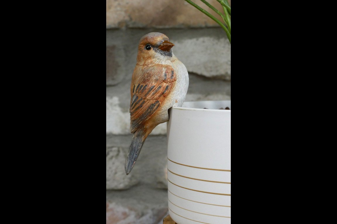 Bird Pot Hanger