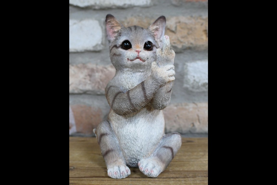 Up Yours Cat
