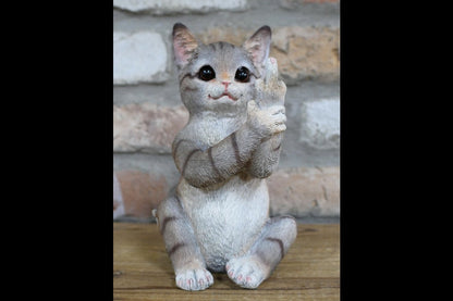 Up Yours Cat