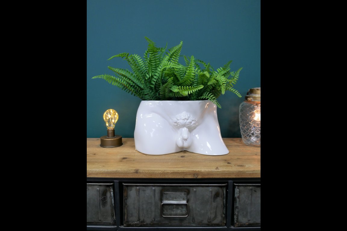 Man Planter