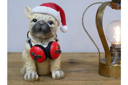 Dog With Headphones
