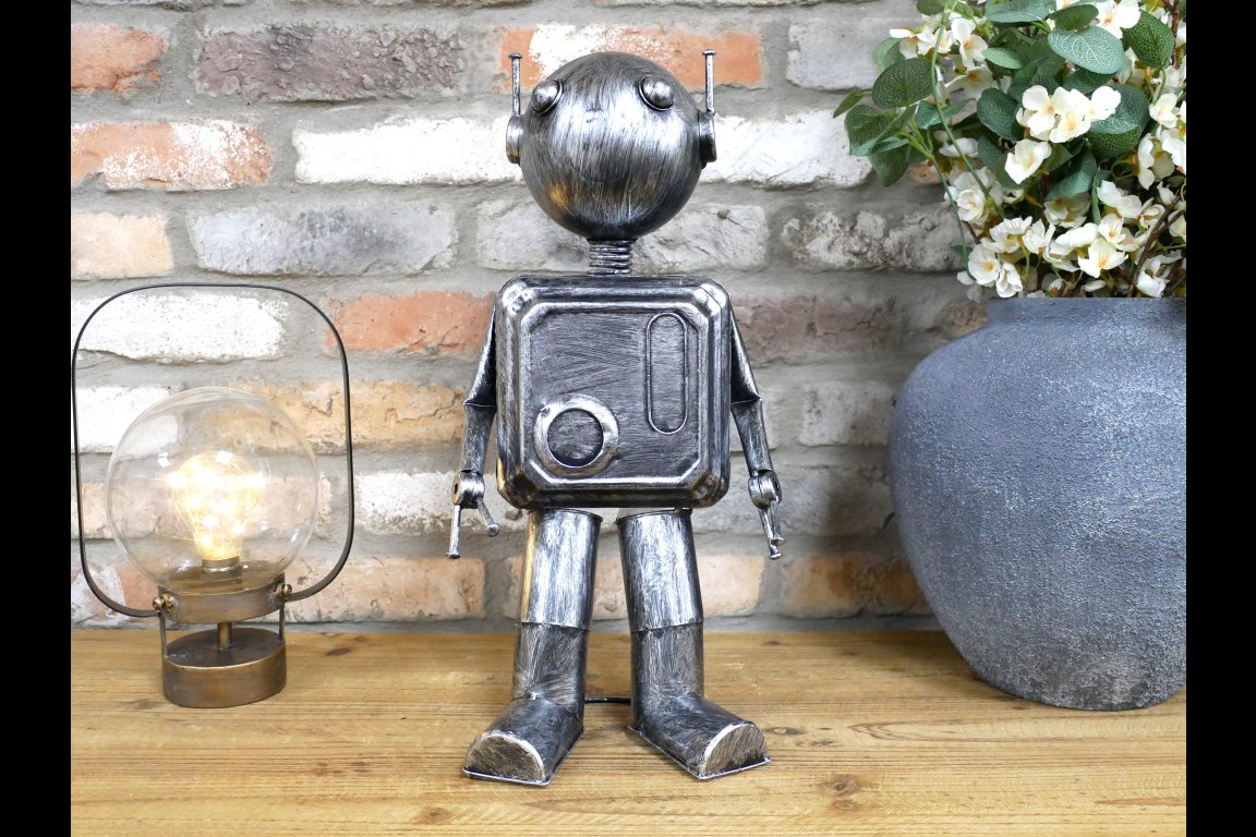 Robot