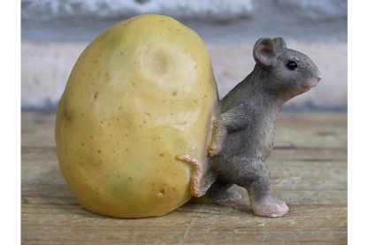 Mouse Rolling Potato
