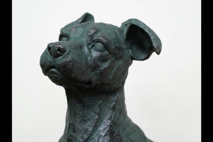 Sitting Dog