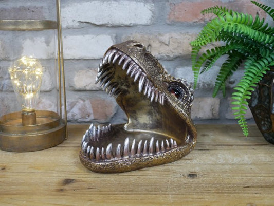 Dinosaur Dish