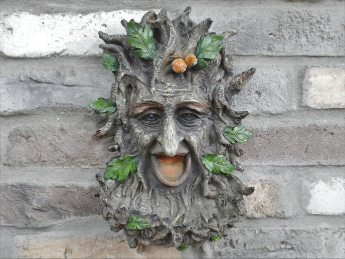 Treeman Bird Feeder