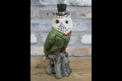 Owl In Suit