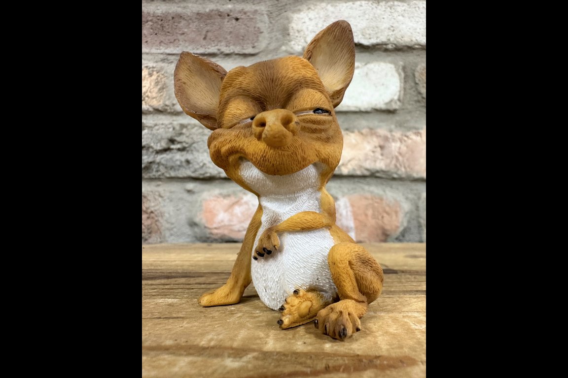 Grining Dog