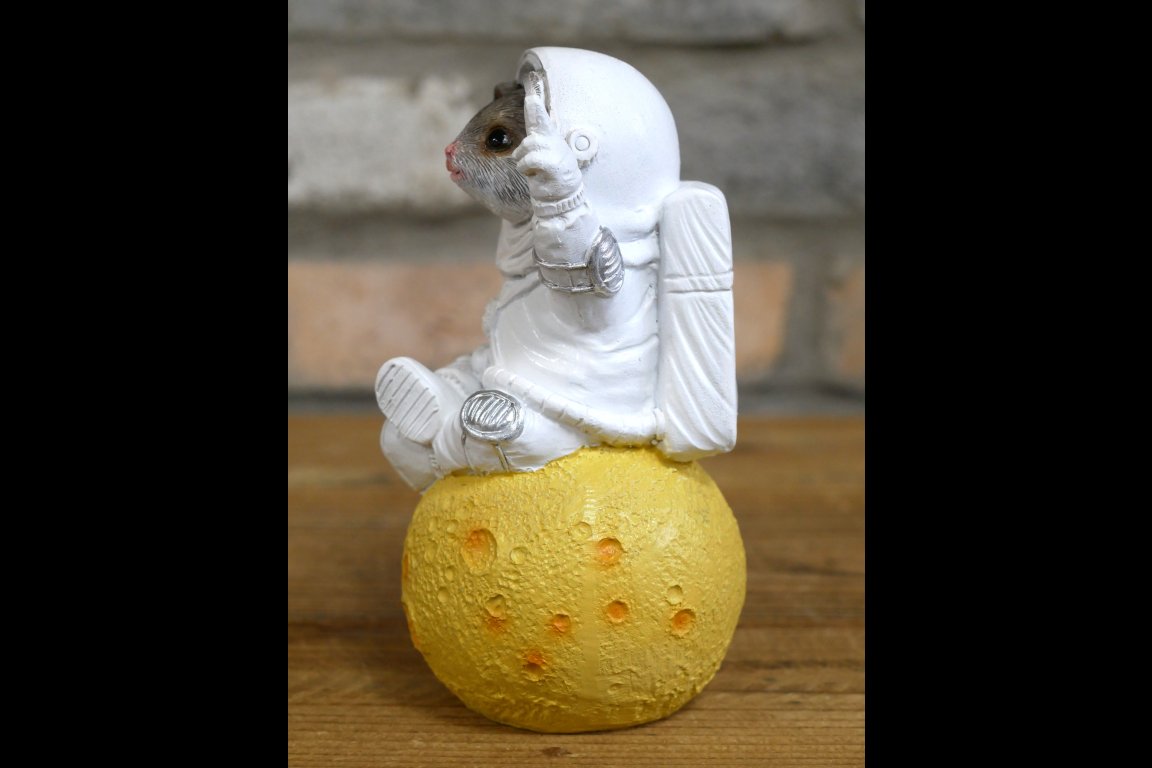 Mouse On Cheese Moon