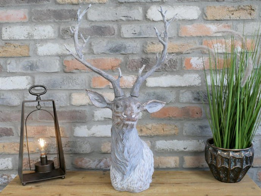 Stag Head