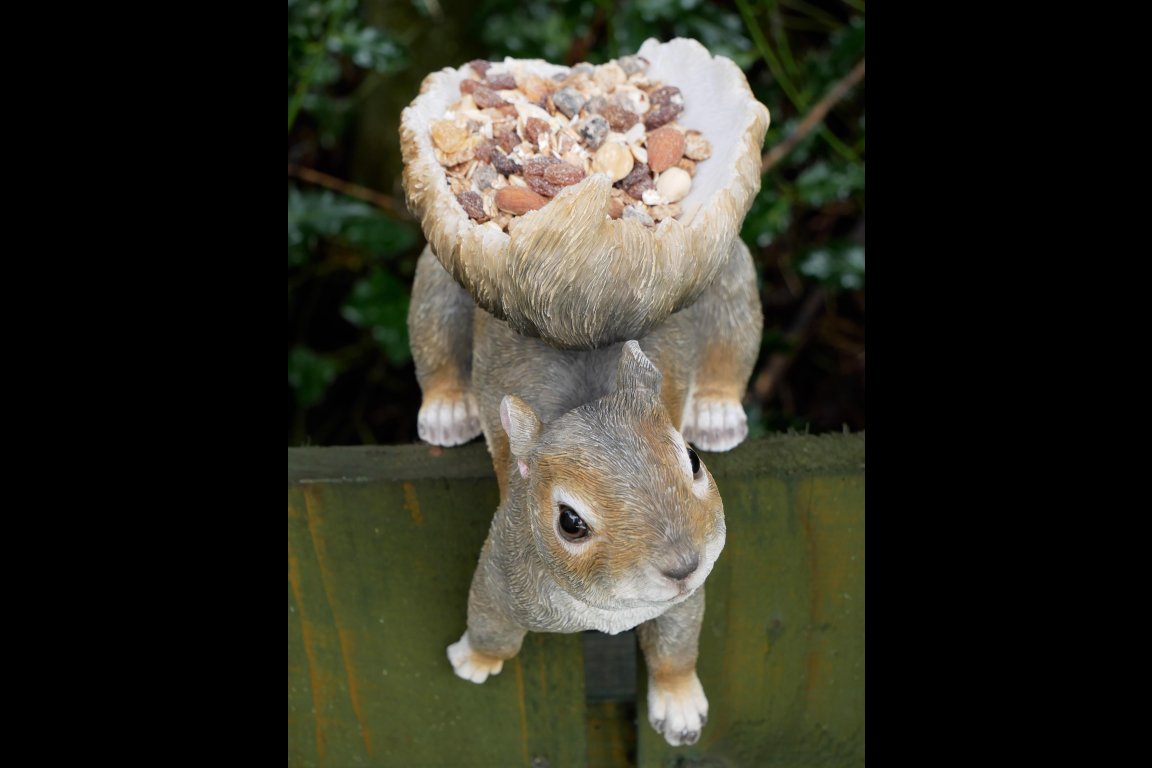 Squirrel Feeder