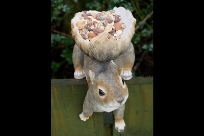 Squirrel Feeder