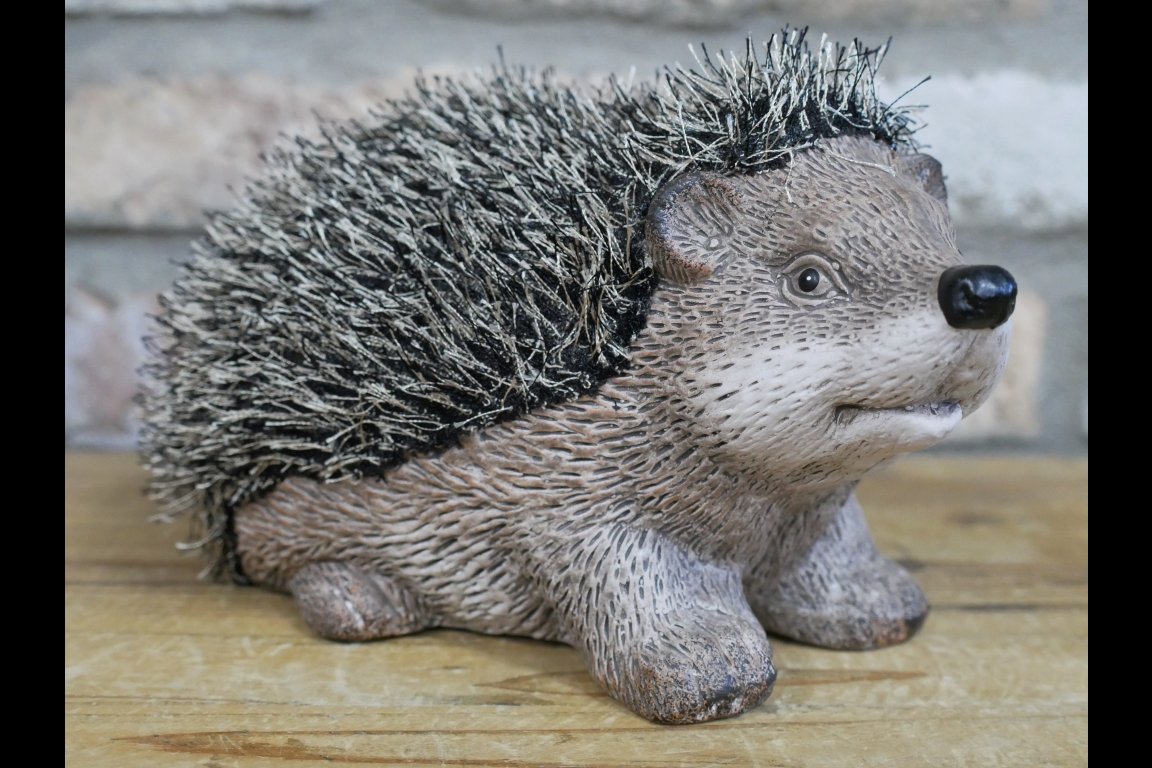 Hedgehog