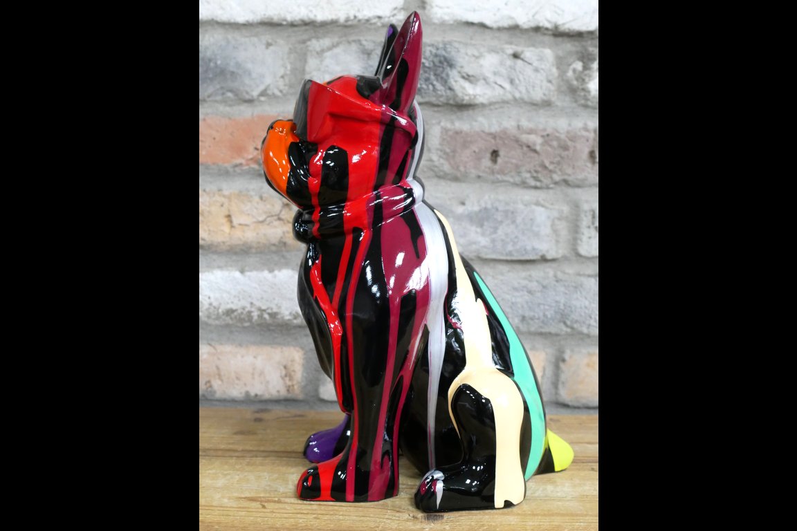 Multi Colour Dog With Shades