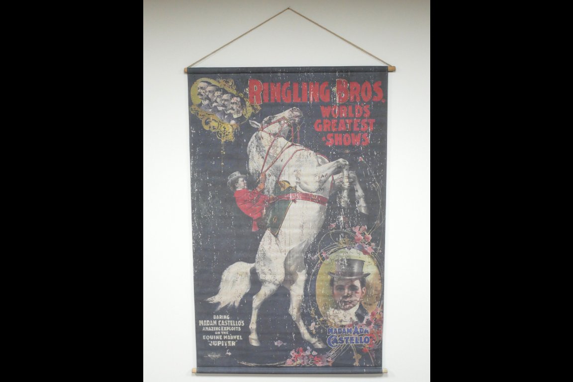 Canvas Wall Art - Horse