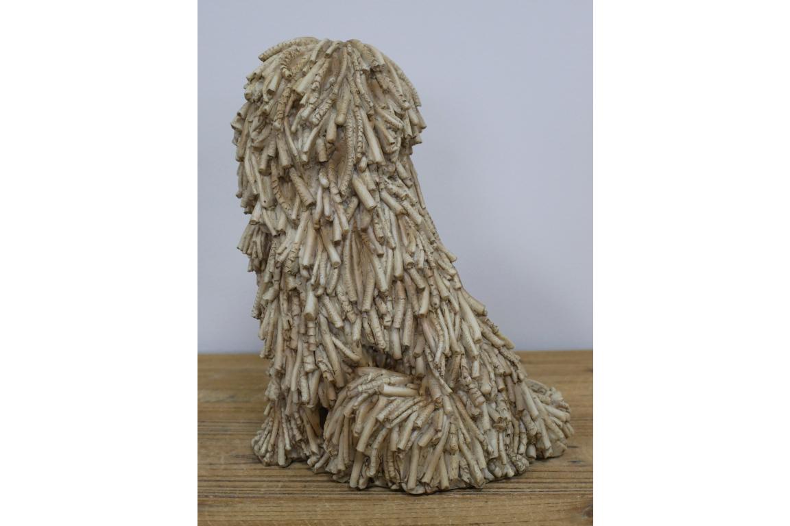 Sitting Shaggy Dog
