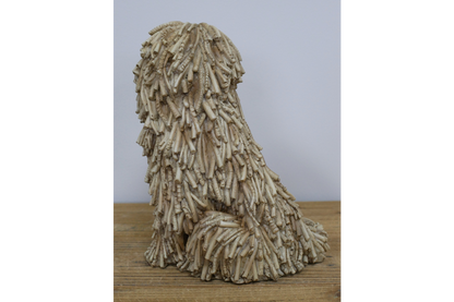 Sitting Shaggy Dog