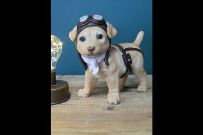 Pilot Dog