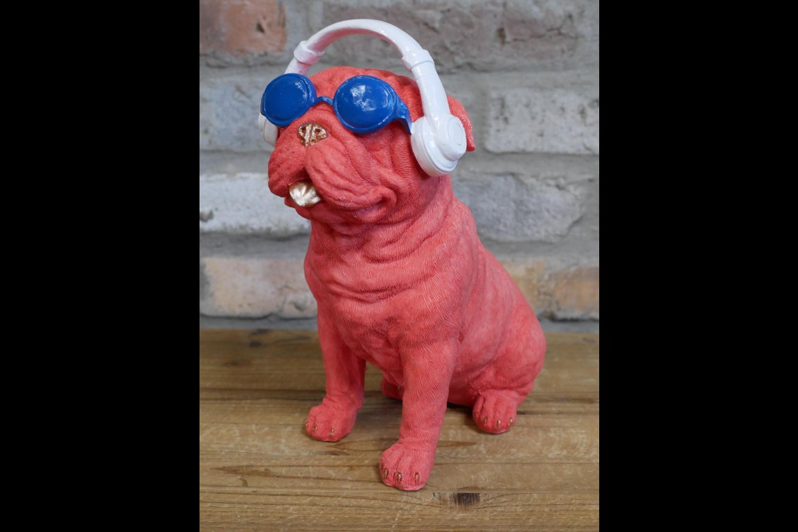 Dog With Headphones