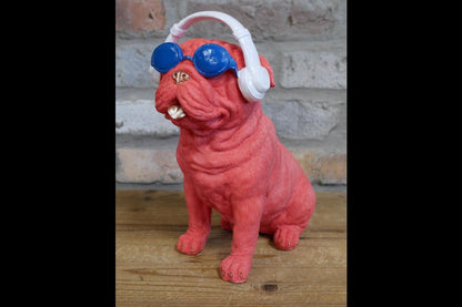 Dog With Headphones