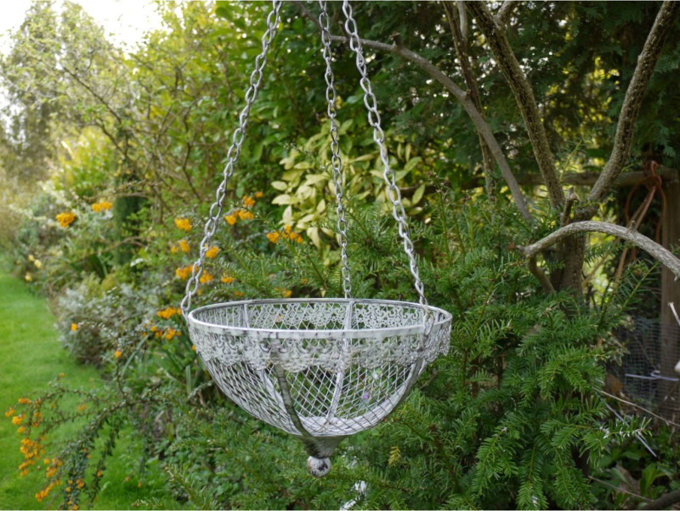 Hanging Basket