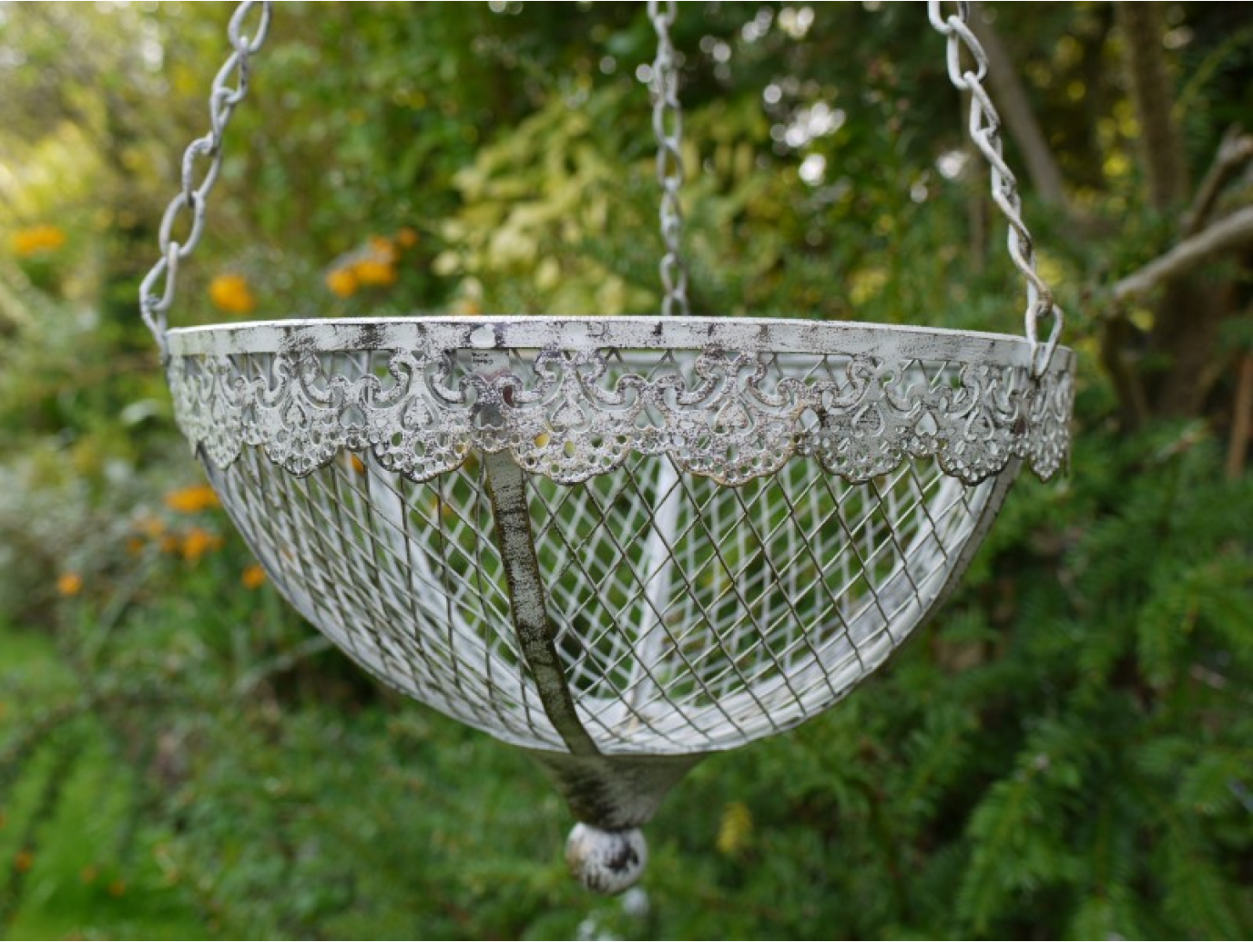 Hanging Basket