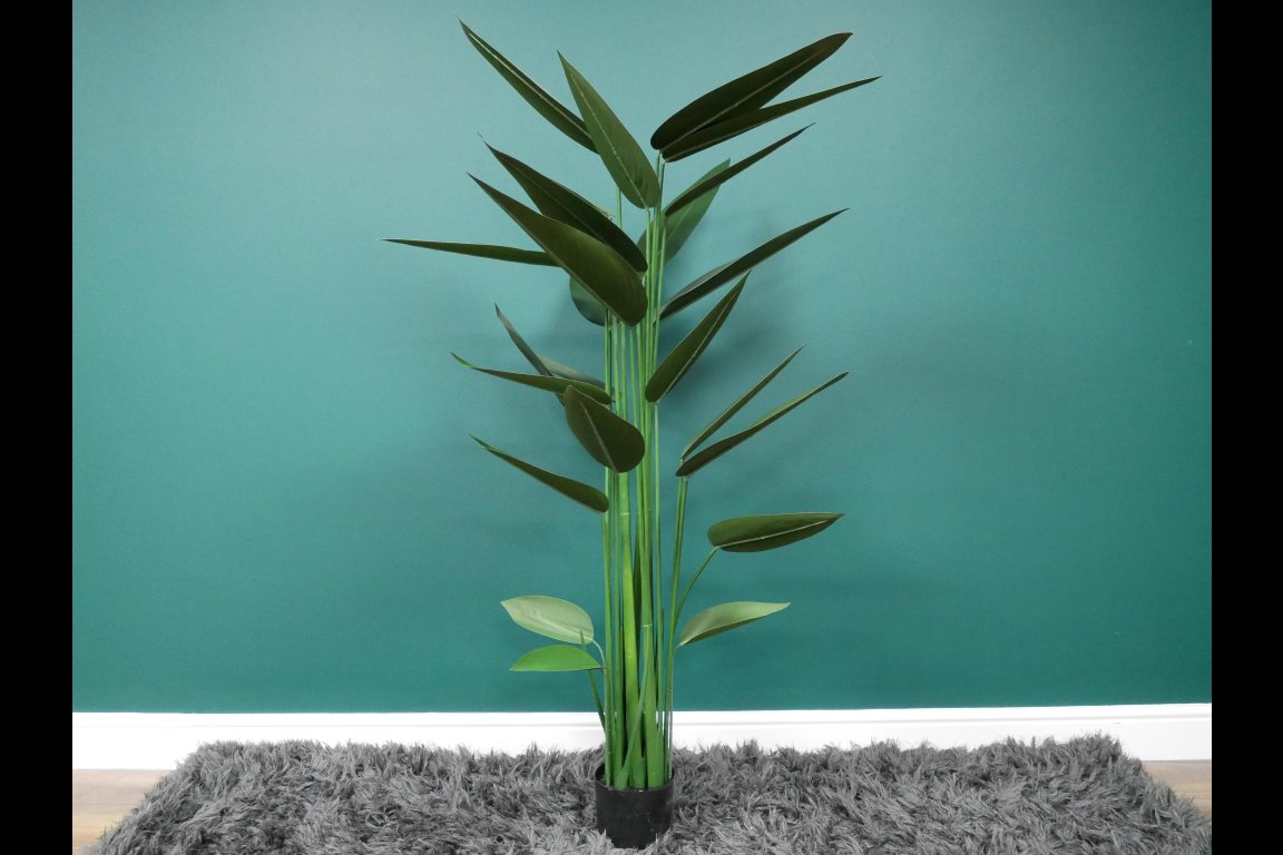 Artificial Canna