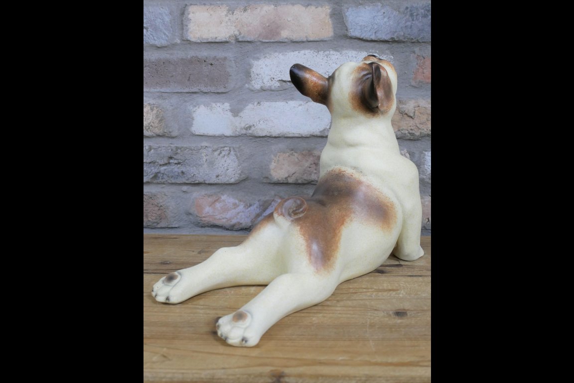 Stretching Dog