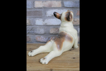 Stretching Dog