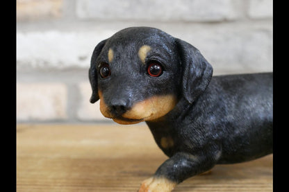 Small Dog