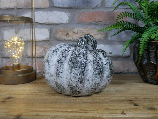 Pumpkin - Medium