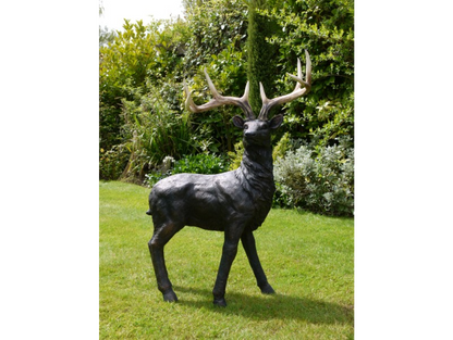 Stag