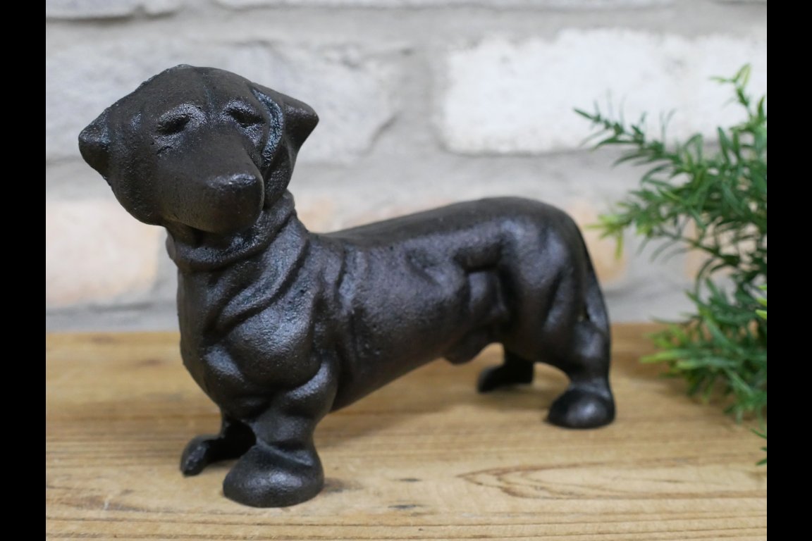 Sausage Dog