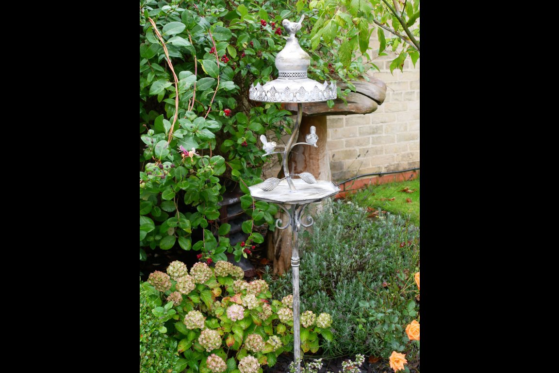 Bird Feeder