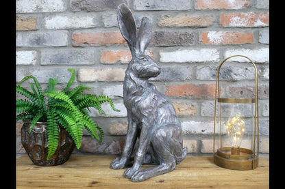 Sitting Rabbit
