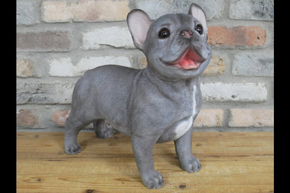 Standing Dog (Frenchie)