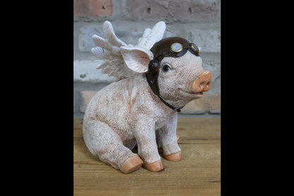 Flying Pig