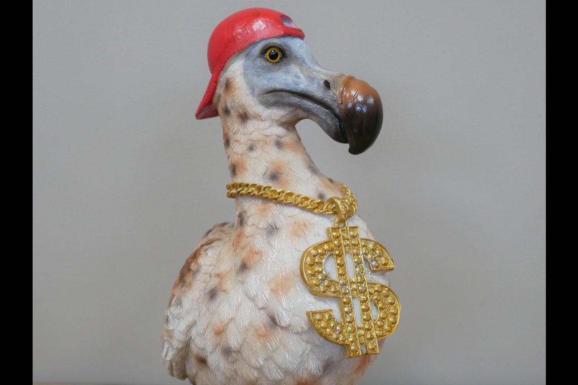 Gangsta Dodo