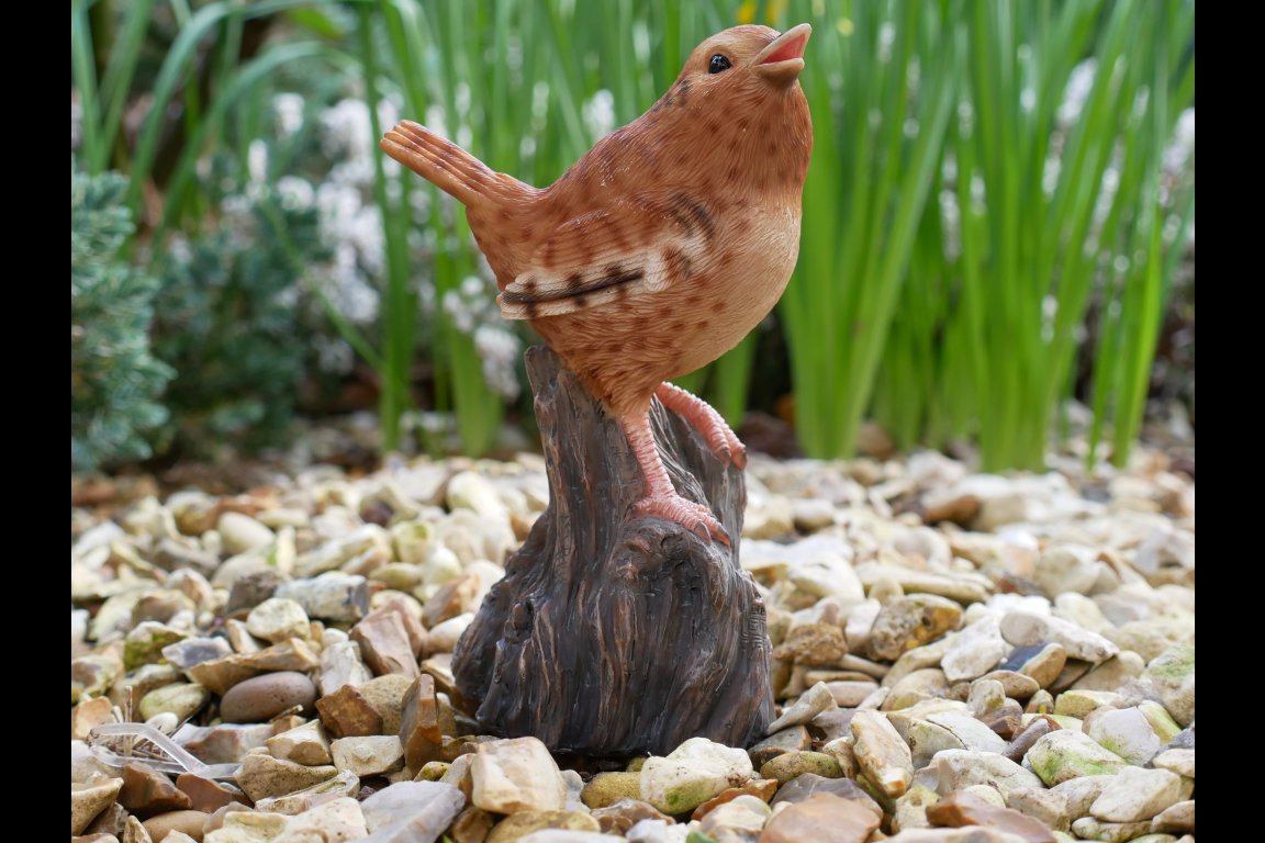 Tweeting Bird