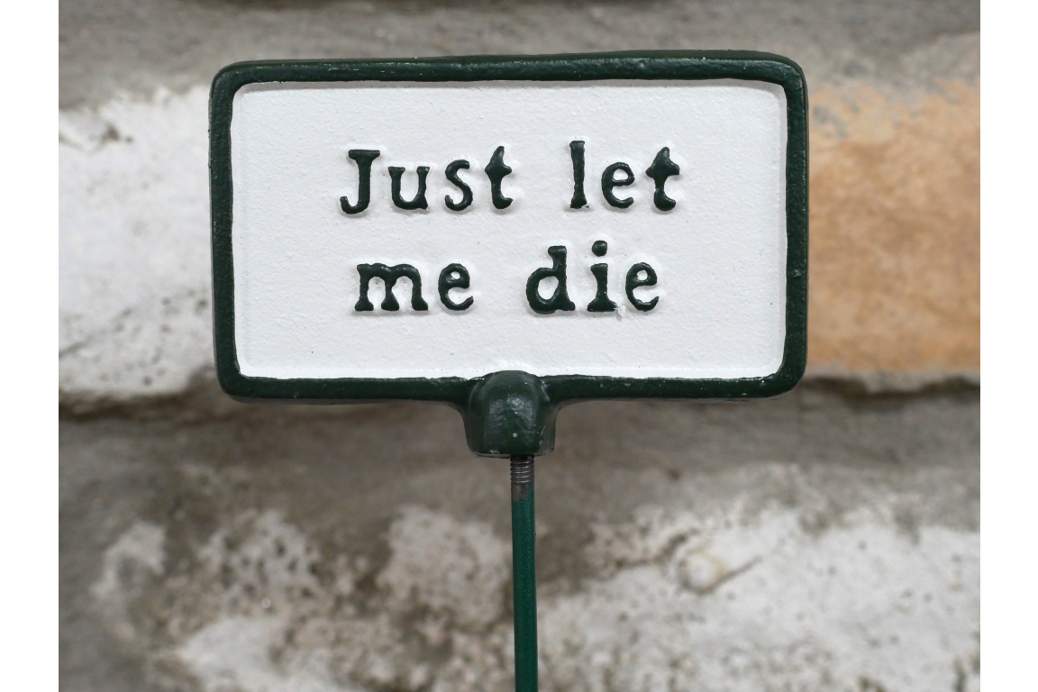 Plant Sign - Let Me Die