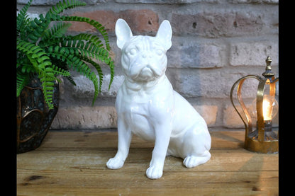 White Dog (Frenchie)