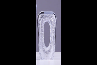 Clear Glass Bubble Vase
