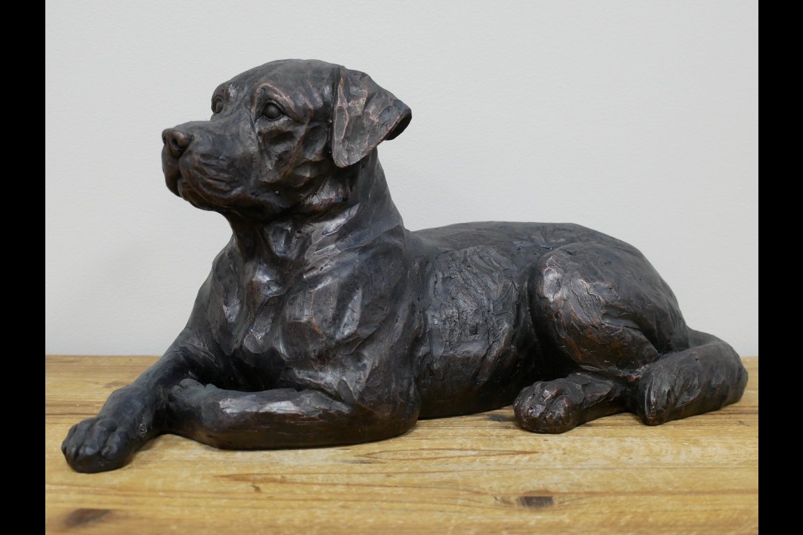 Laying Dog