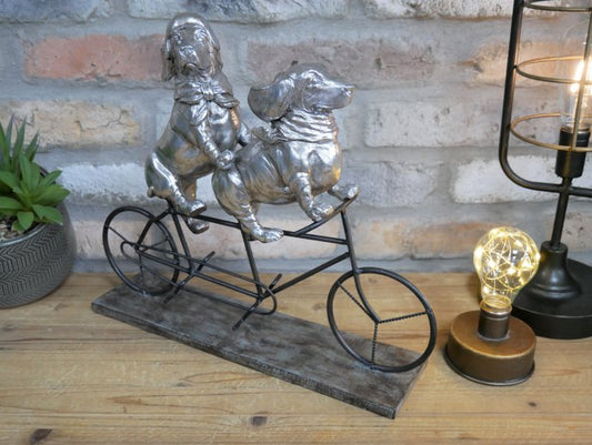 Dogs On A Bicycle