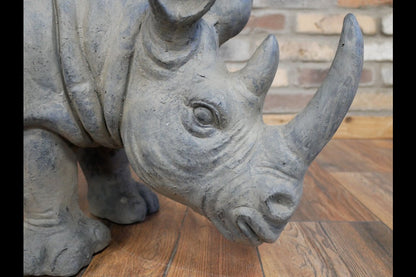 Rhino