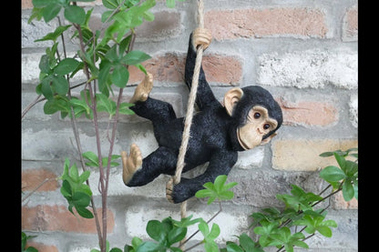 Swinging Monkey
