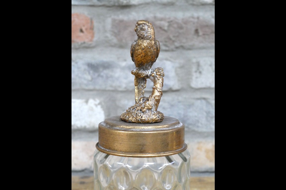 Bird Jar