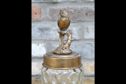Bird Jar